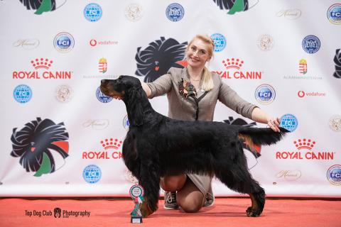 European Dog Show 2021