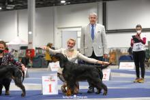 FCI European Dog Show 2021 - Budapest - Hivatalos.